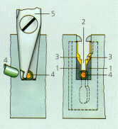   Krone